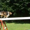 agility 2011-07-24